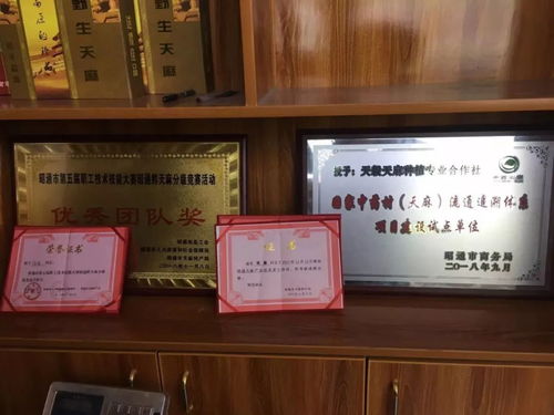 彝良農副產品加工廠 走綠色發(fā)展道路 培育優(yōu)質天麻品牌