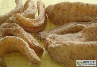 供應(yīng)產(chǎn)地直供深山優(yōu)質(zhì)出口級(jí)干天麻!_醫(yī)藥、保養(yǎng)_世界工廠網(wǎng)中國(guó)產(chǎn)品信息庫(kù)